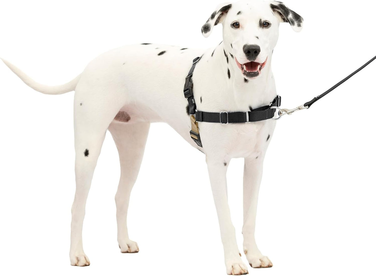 PetSafe Easy Walk Harness, No Pull Dog Harness, Raspberry, Medium/Large