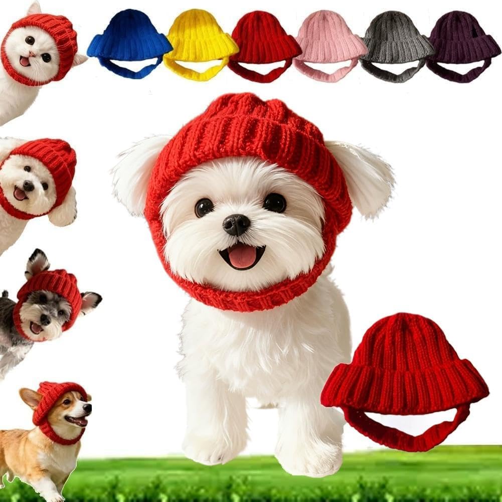 Dog Beanie Hat with Ear Holes, Winter Pet Cap for Small Dogs