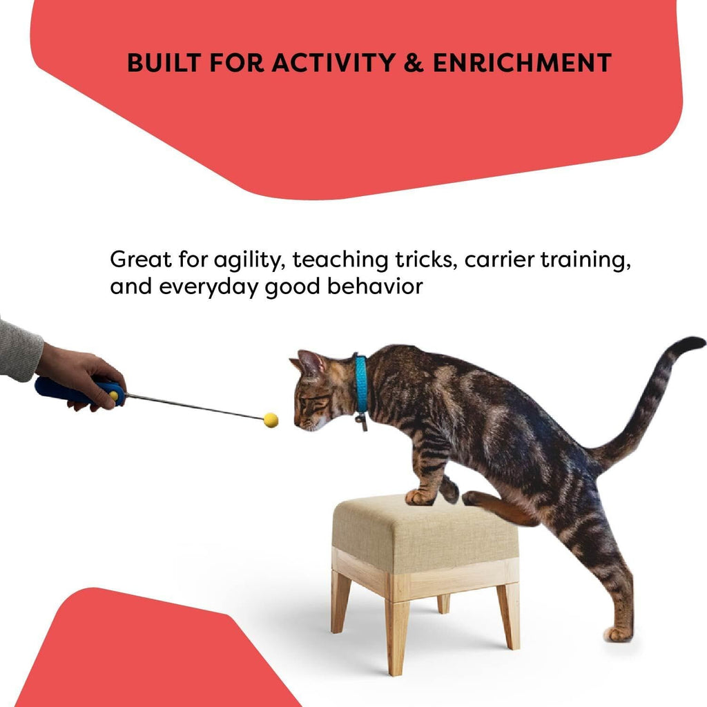 Cat Training Clicker Positive Reinforcement Training Tool