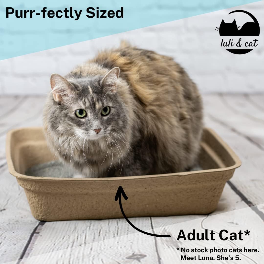 Luli & Cat Disposable Litter Boxes for Cats | Large Sized 4-Pack | Durable and Water Resistant