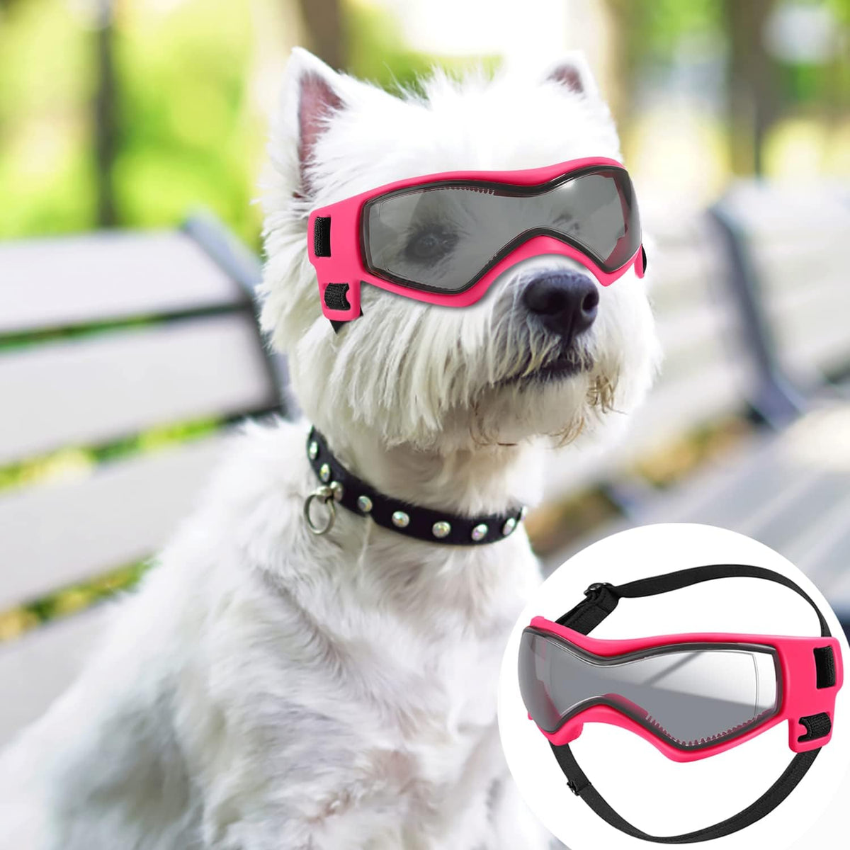 QUMY Dog Goggles Small Medium Breed Dog Sunglasses UV Protection Doggles
