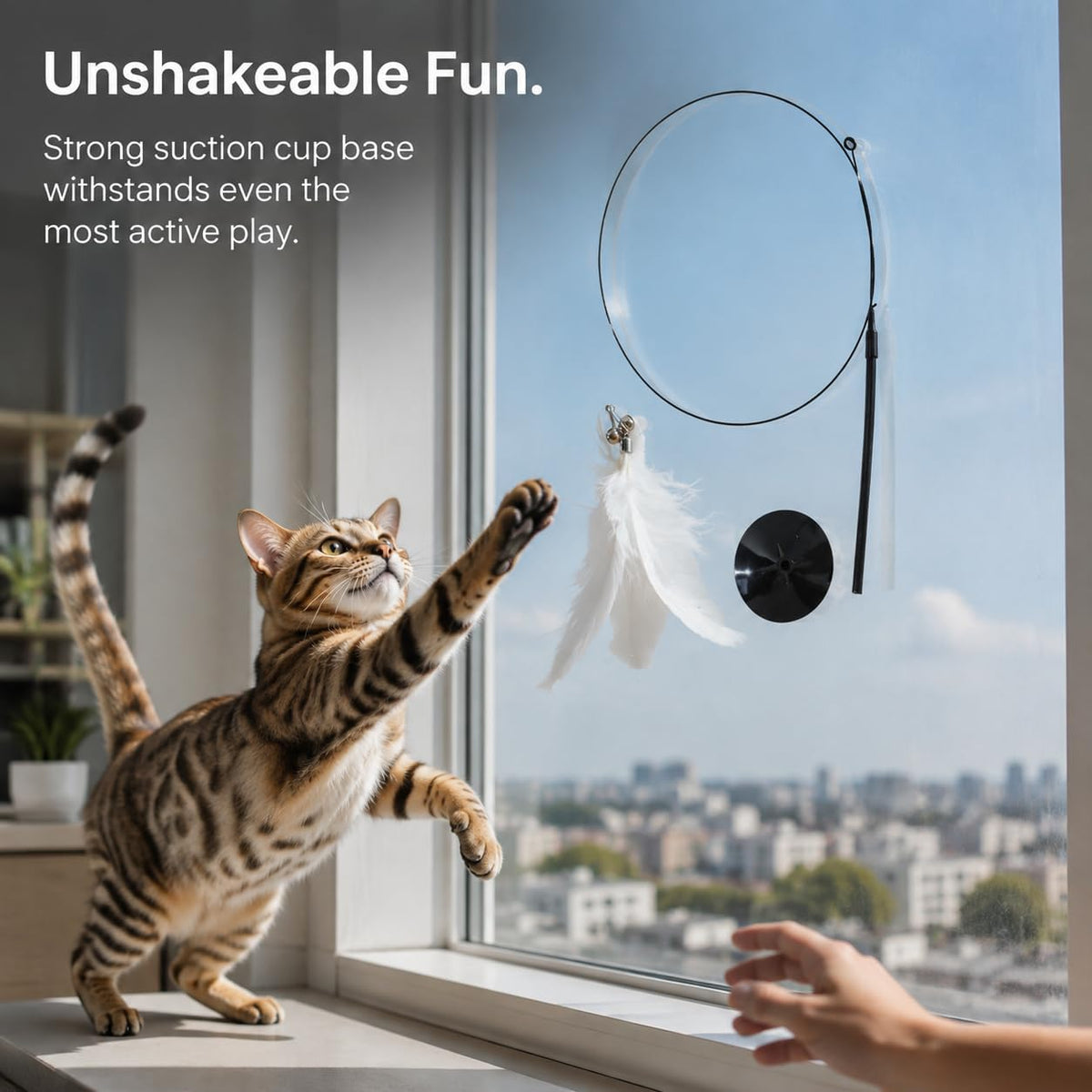 Cat Teaser , Interactive Feather Toy , Press-handle Single Black Feather