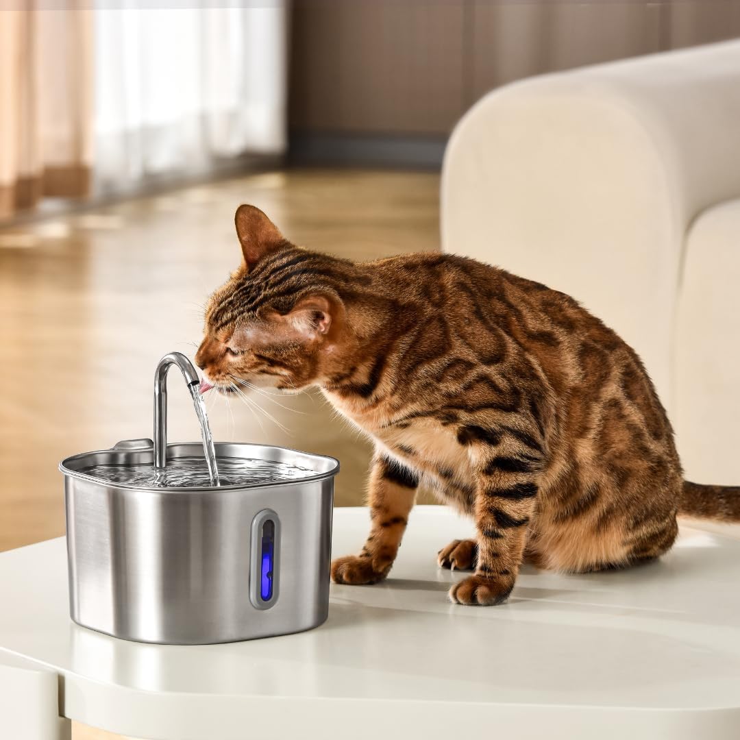 KittySpout Stainless Steel Cat Water Fountain Automatic Drinking Fountain, Quiet Circulating Water Bowl, Dishwasher Safe