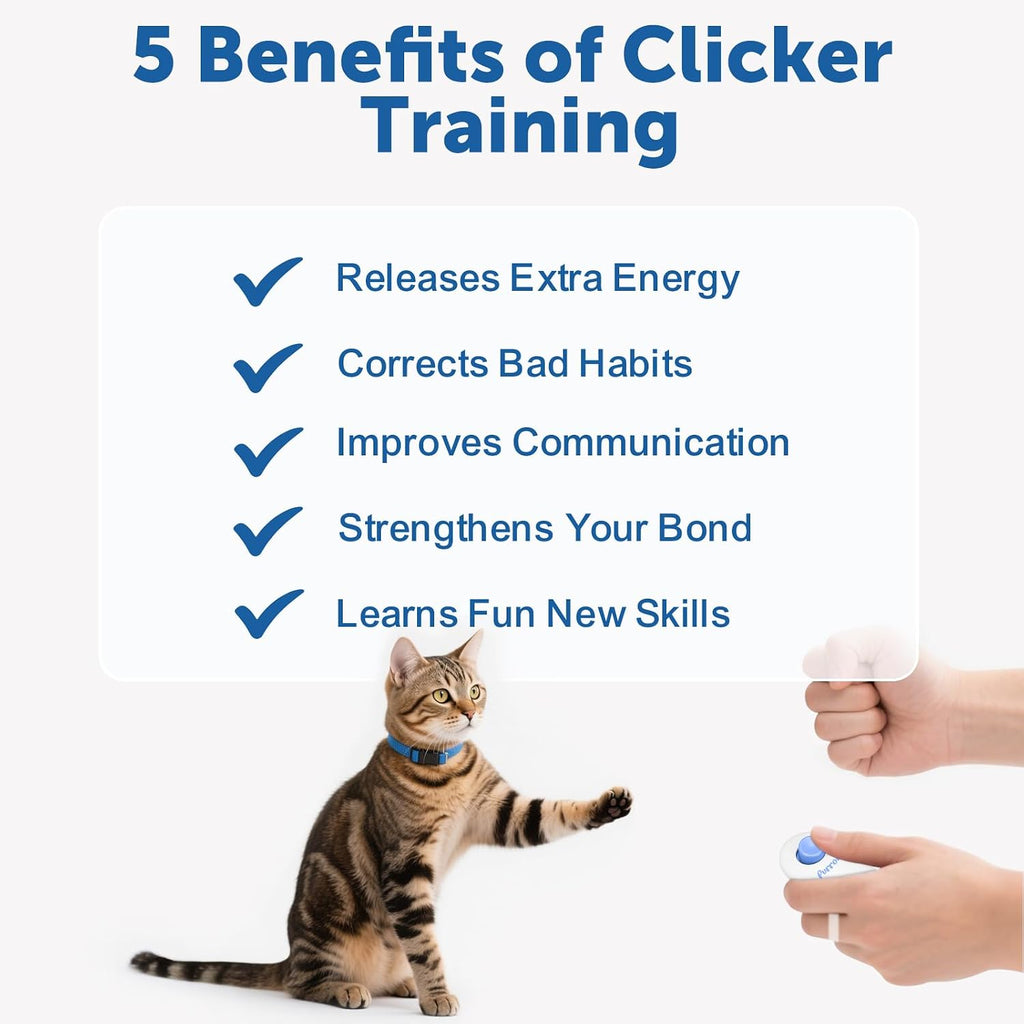 Cat Training Clicker Kit – Includes Finger Clicker and Target Stick – Perfect for Positive Reinforcement, Behavior & Obe