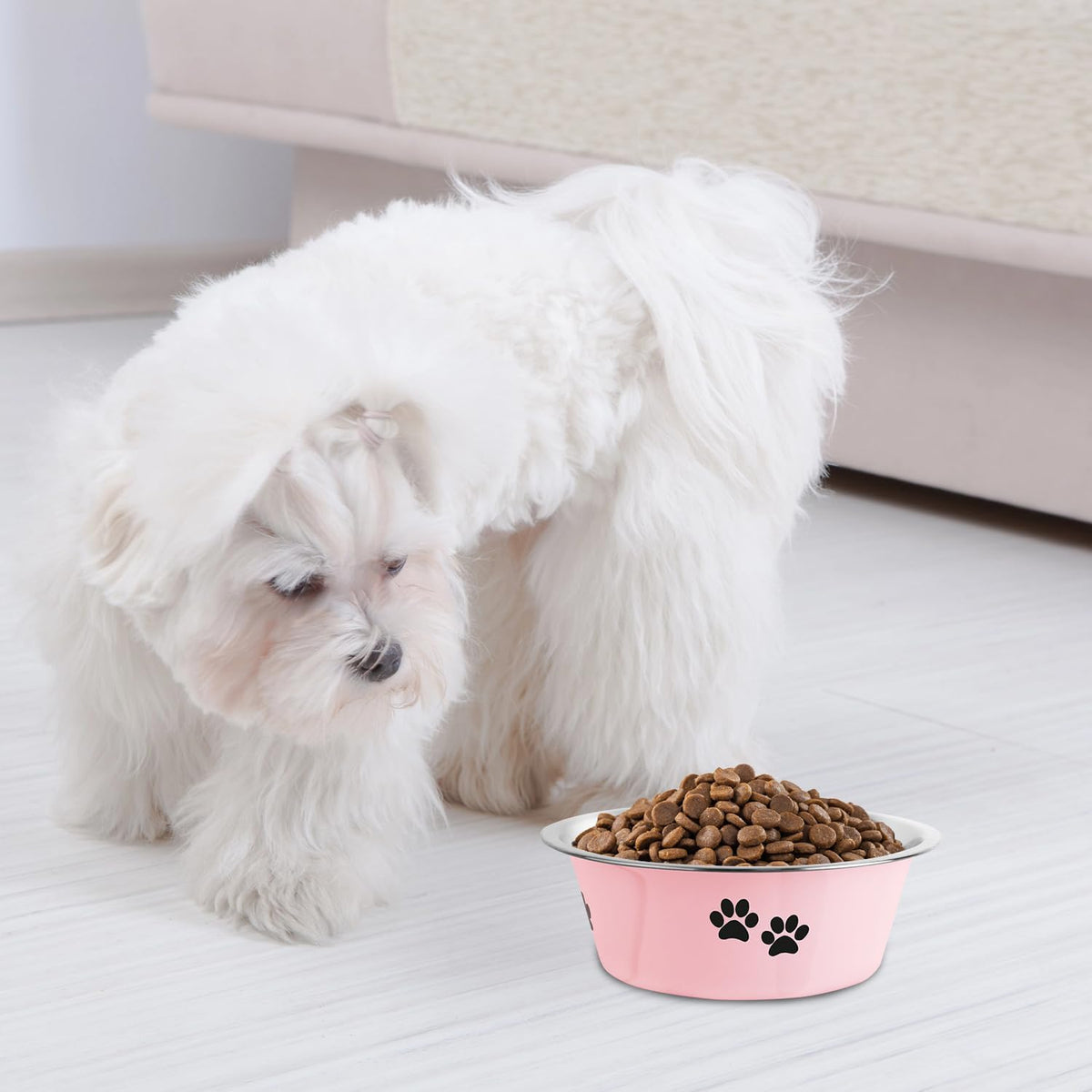 Stainless Steel Dog Bowls, Nonslip Rubber Bottom No Spill Proof Skid Metal Insulated Dog Bowls for Large Medium Small Br