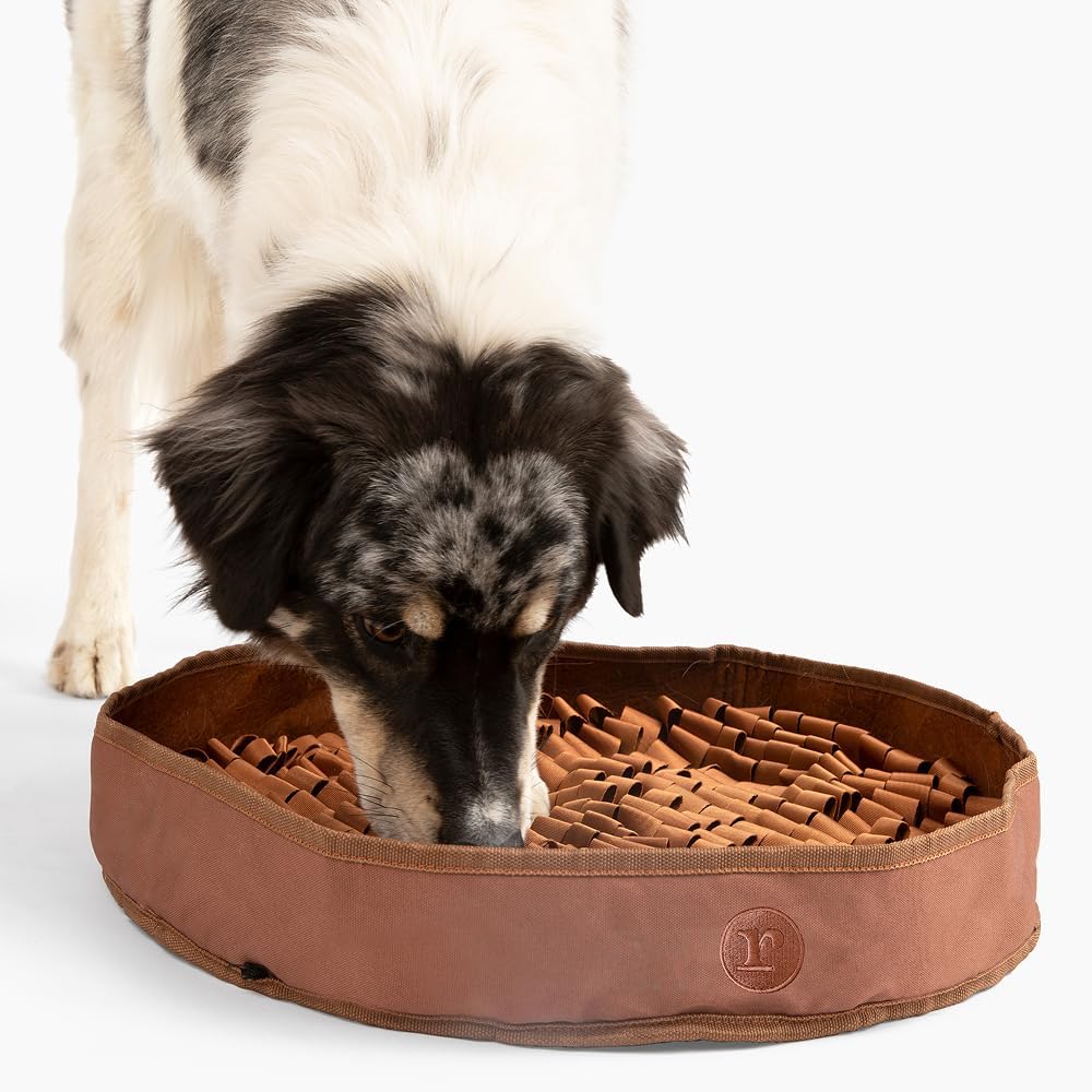 Reggie Snuffle Mat for Dogs, for Calming Support, Reducing Speed Eating, and Mental Stimulation, Durable & Easy to Clean