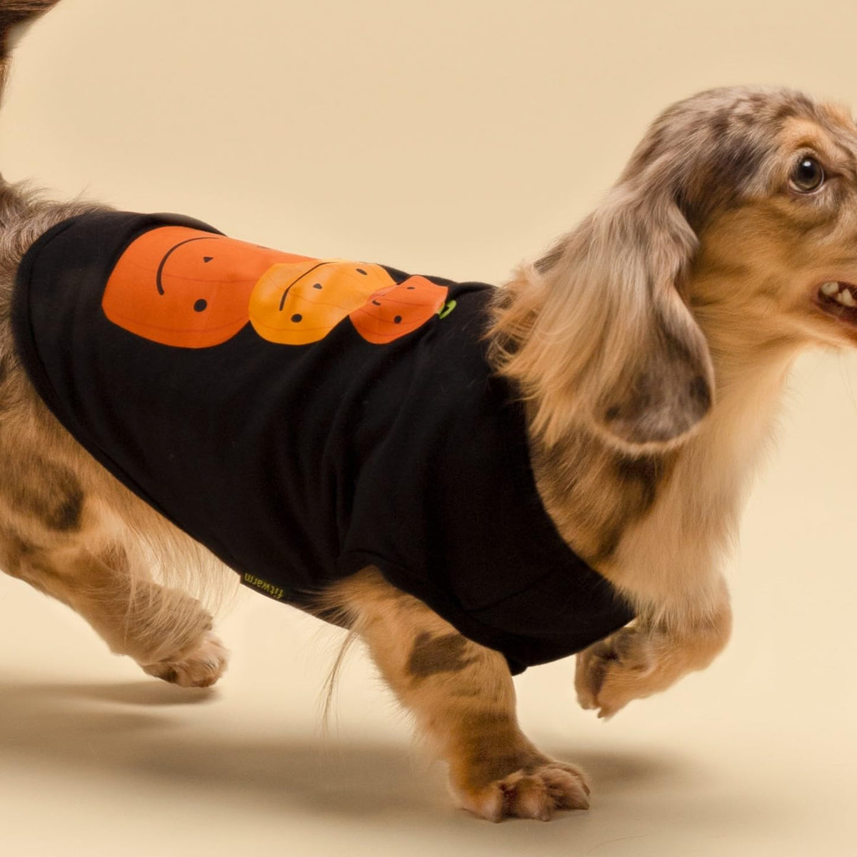 Fitwarm Thanksgiving Triple Pumpkins Dog Shirt, Fall Dog Clothes for Small Dogs Boy Girl, Funny Doggy Tshirt, Pet Outfit