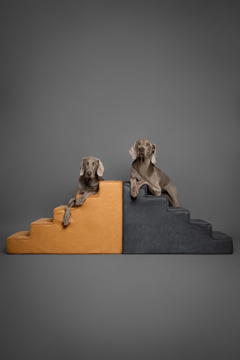 Dog Stairs for Large Dogs, Up to 150lb, Wide Dog Ramp for Bed