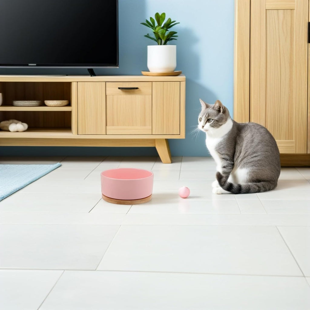 Heated Cat Water Bowl for Kittens, USB Powered 350ml Pink