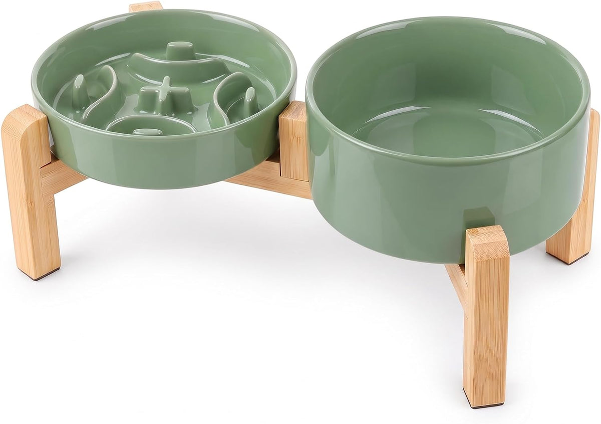 Raised Ceramic Slow Feeder Dog Bowls(0.8 Cups) with Dog Water Dish(700ML)