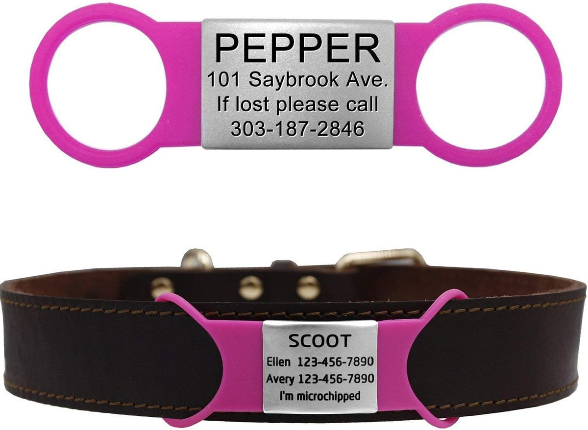 Personalized Silent Slide On Puppy Dog Cat ID Tags