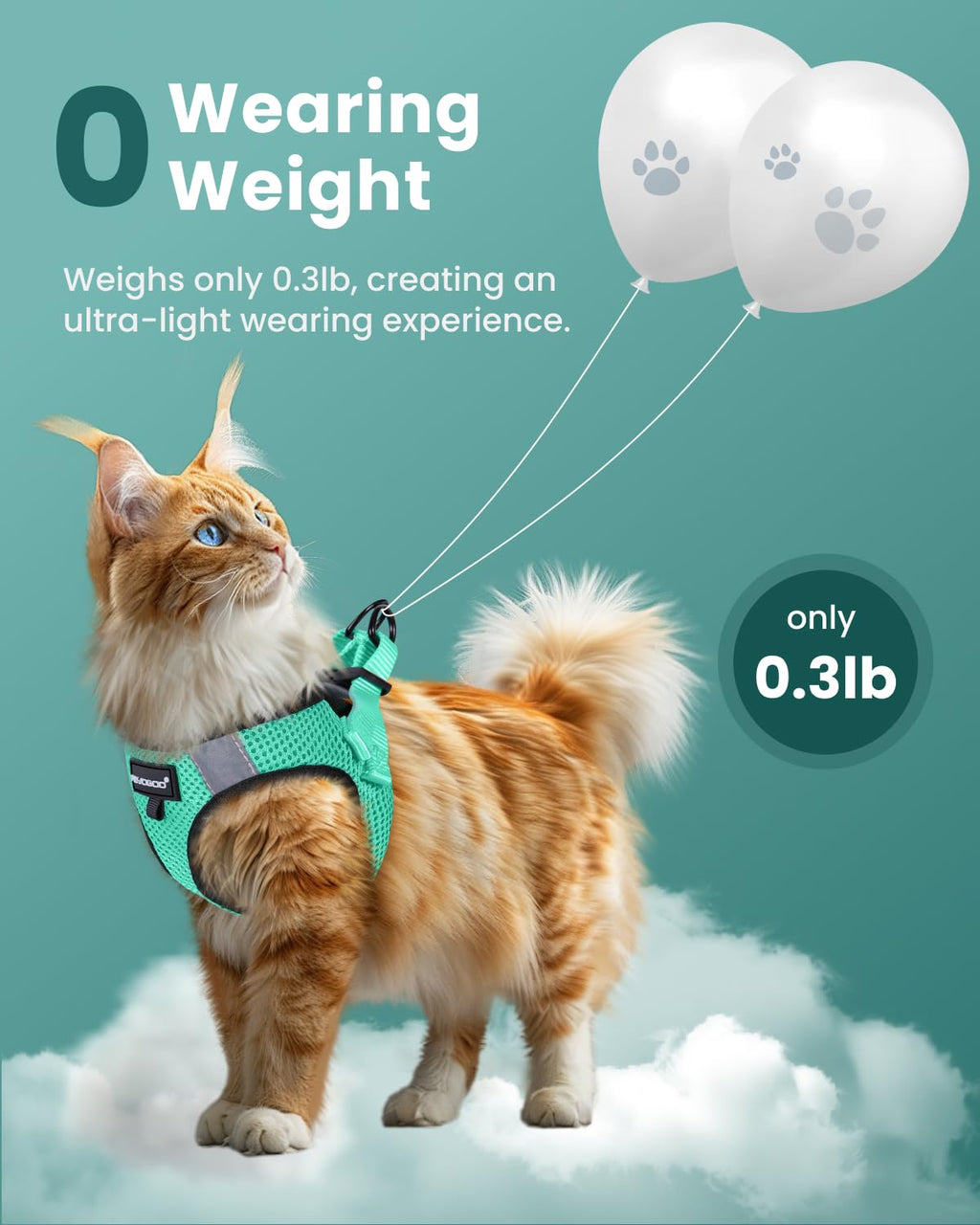 FAYOGOO Cat Harness and Leash Set, Escape-Proof Step-in Vest for Walking