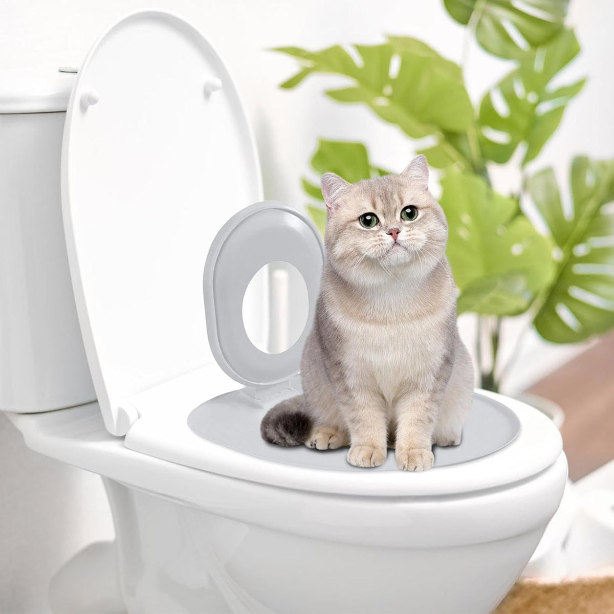 Cat Toilet Seat Training Kit,Removable Pet Toilet Training System,Washable Cleaning Pad for Cats,Reusable Plastic Traine