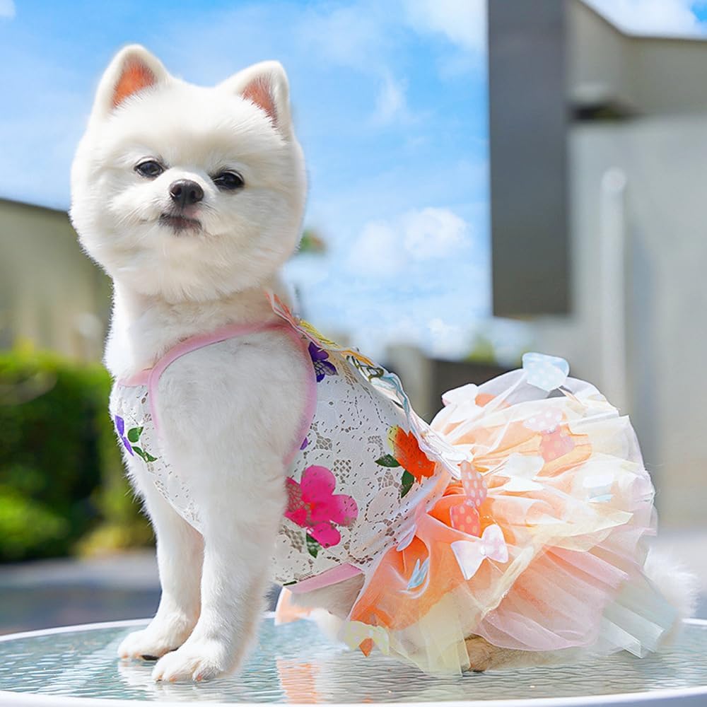 Dog Rainbow Butterfly Princess Dress Summer Thin, S
