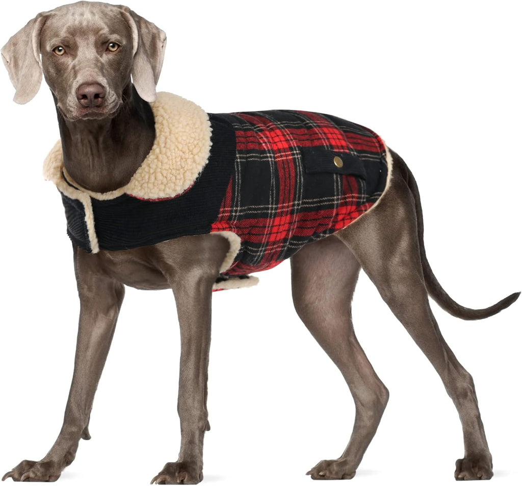 Dog Winter Coats for Small Dogs Puppies, Pet Thick Warm Jacket for Bichon