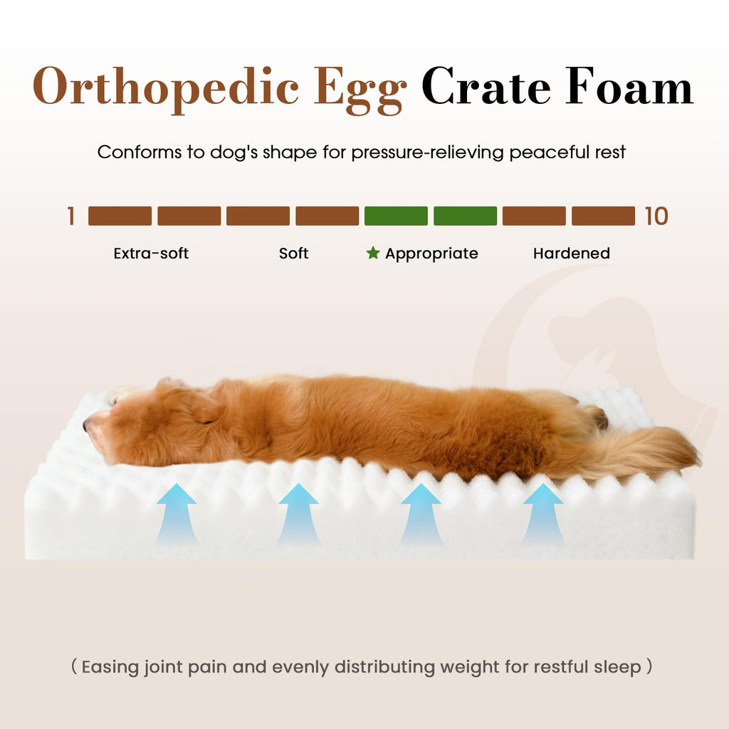 Cozila Dog Beds for Large Sized Dog, Orthopedic Foam with Waterproof Lining
