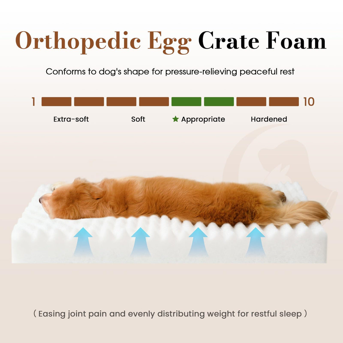 Cozila Dog Beds for Large Sized Dog, Orthopedic Foam with Waterproof Lining