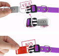 Personalized Silent Slide On Puppy Dog Cat ID Tags