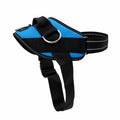 ShawnCo Essential Dog Harness, No-Pull Pet Vest (Oceanic Blue,S)