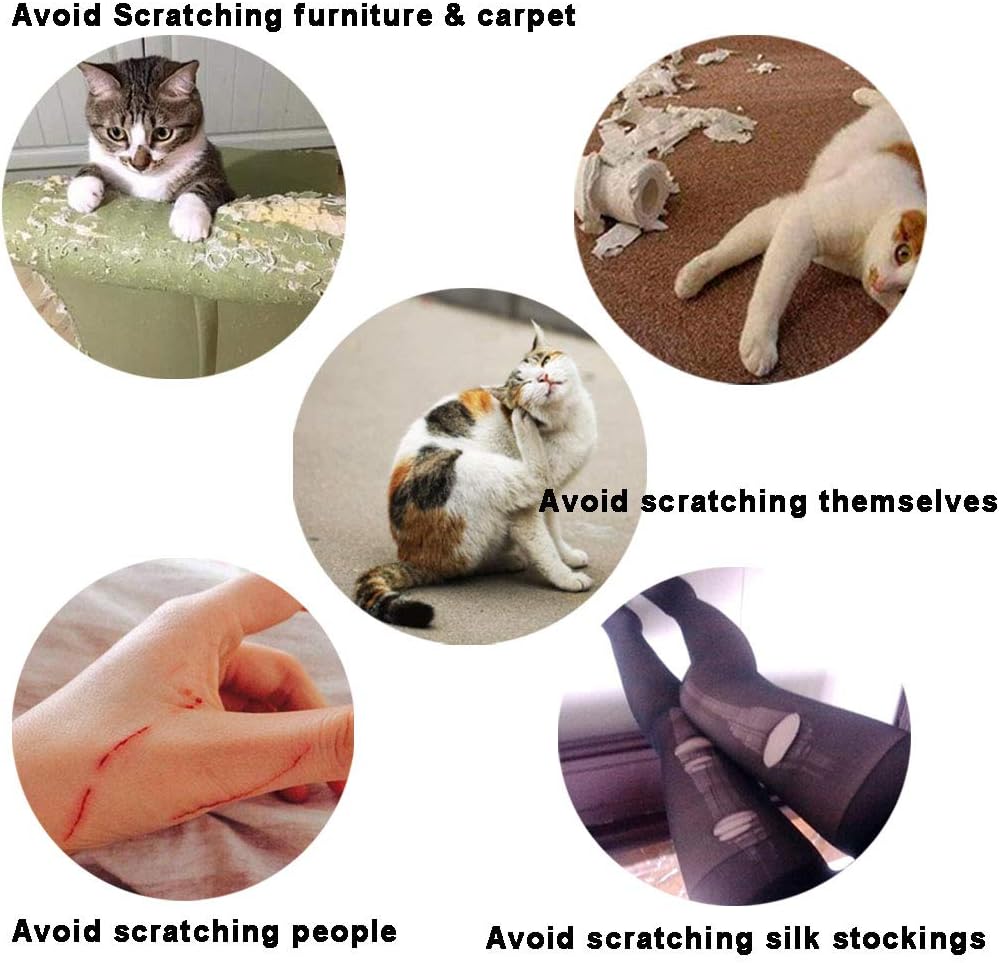 YMCCOOL 100pcs Cat Nail Caps/Tips Pet Cat Kitten Paws Covers Control Paws of 10 Nails Caps and 5Pcs Adhesive Glue 5 Appl