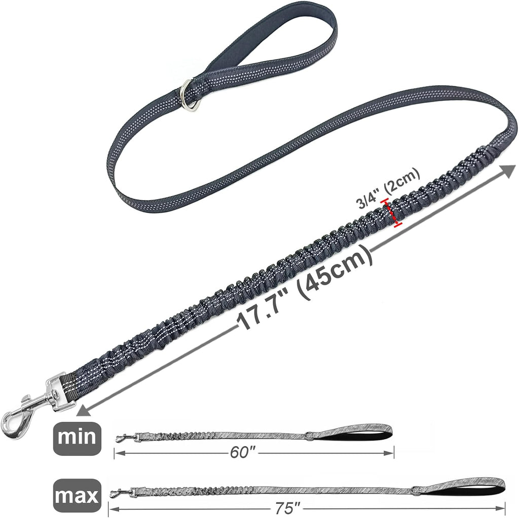 5FT Bungee Dog Leash Shock Absorbing Lightweight Small Medium Dogs