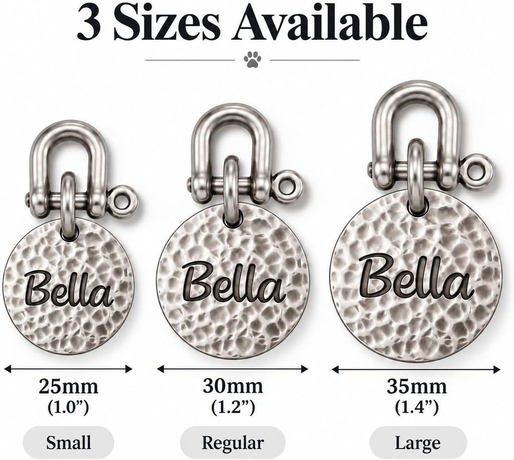 BONBOY Personalized Dog Tag, Engraved Pet ID Tag, Custom Dog Name Tag (Large, Brass)