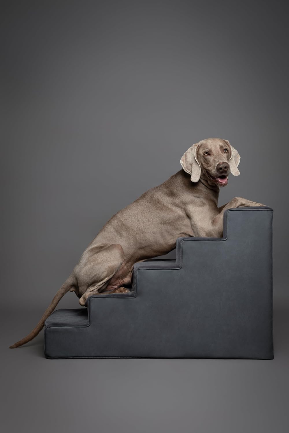 Dog Stairs for Large Dogs, Up to 150lb, Wide Dog Ramp for Bed