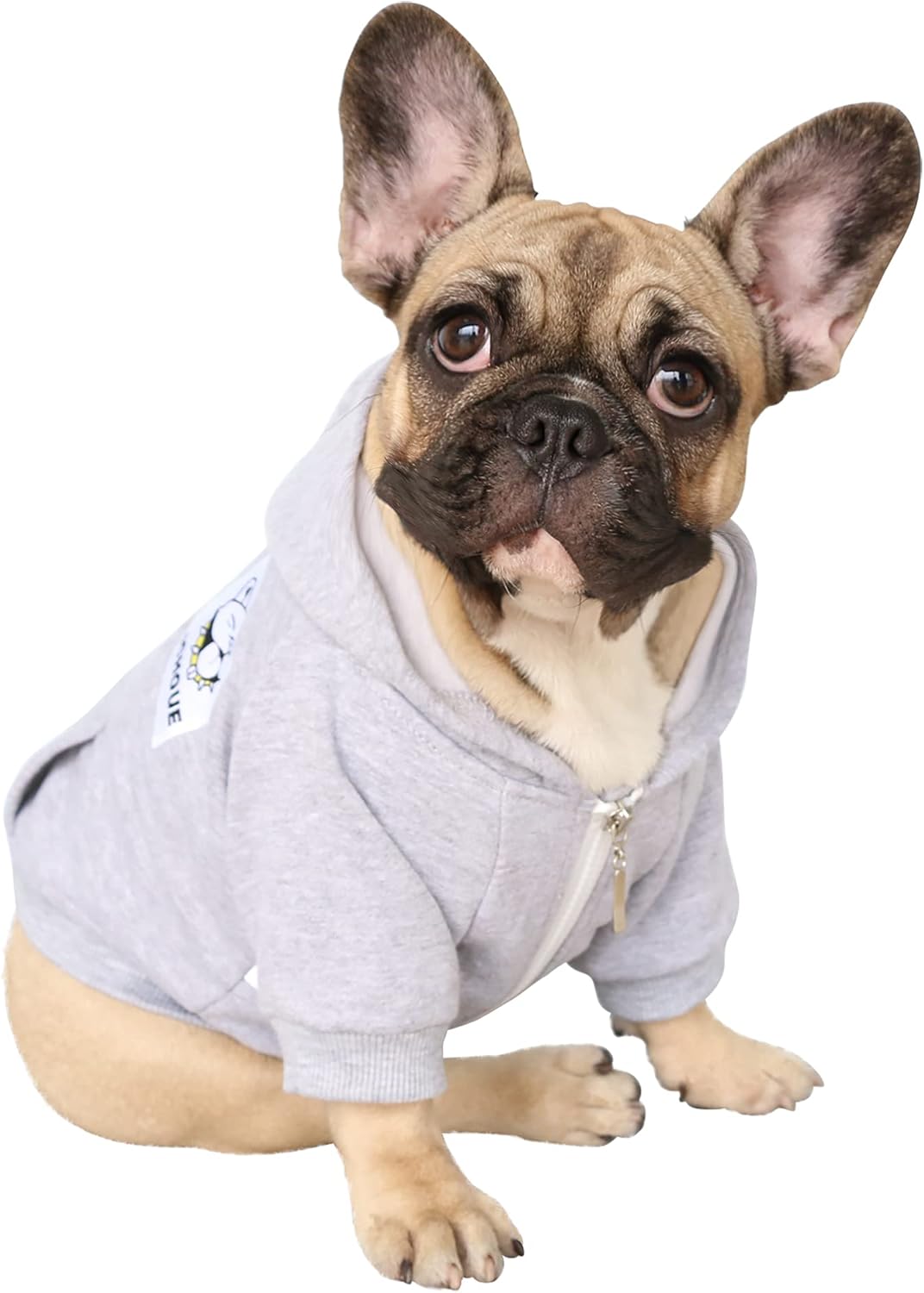 French Bulldog Pug Zipper Pocket Hoodies Clothes Black - Large