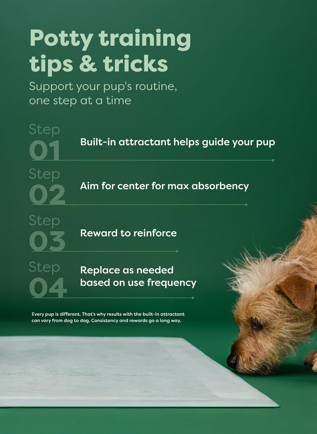 Regular (L) Dog & Puppy Pee Pads, Discreet Top, Max Absorbency, 40CT