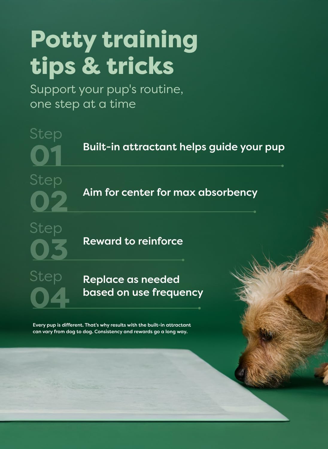 Regular (L) Dog & Puppy Pee Pads, Discreet Top, Max Absorbency, 40CT