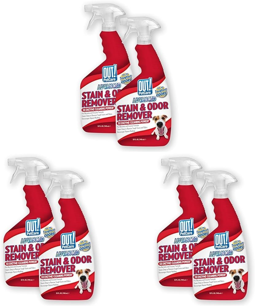 OUT! PetCare Pet Stain & Odor Remover, Carpet Cleaner, 32oz (2 Pack)