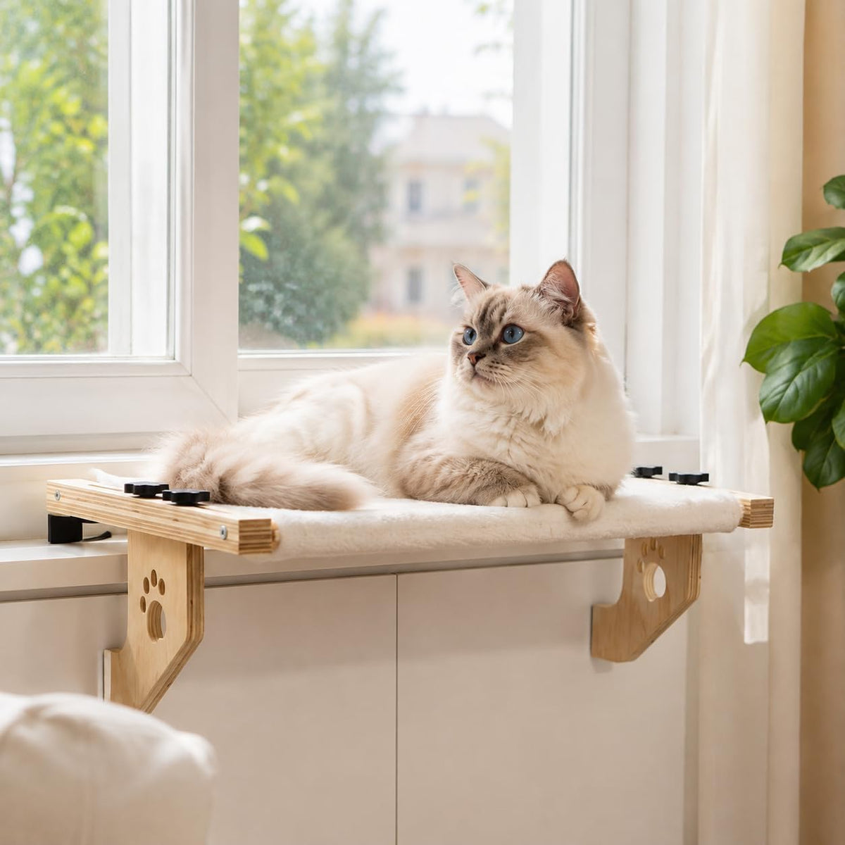 Cat Window Perch, Cordless Window Cat Bed for Indoor Cats, Holds 44 lbs