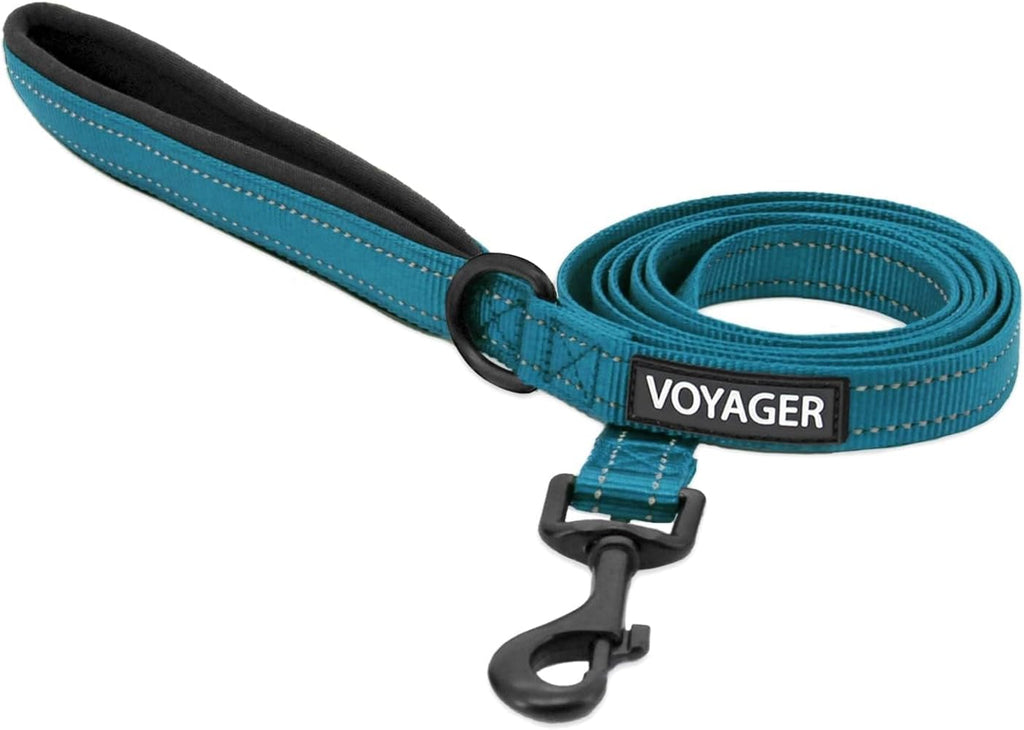 Best Pet Supplies Voyager Nylon Dog Leash - Fuchsia, Small