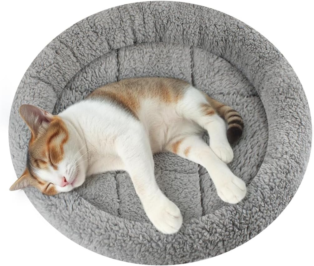 Enjoying Cat Mat Bed 16" x 22" Pet Bed with Pillow Around for Dogs Cats Curled Sleeping Beds for Carrier/Crate Small to 