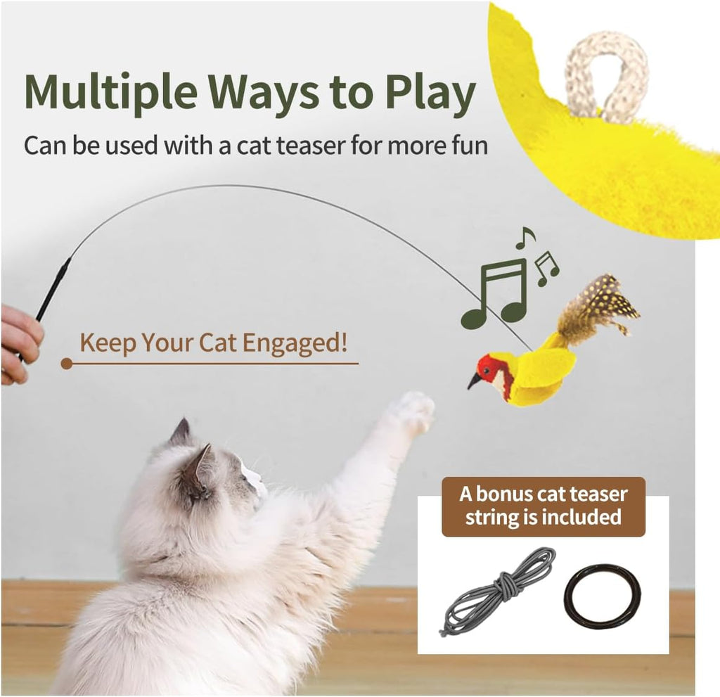 Interactive Cat Toys for Indoor Cats,Catnip and Feather,2Pcs
