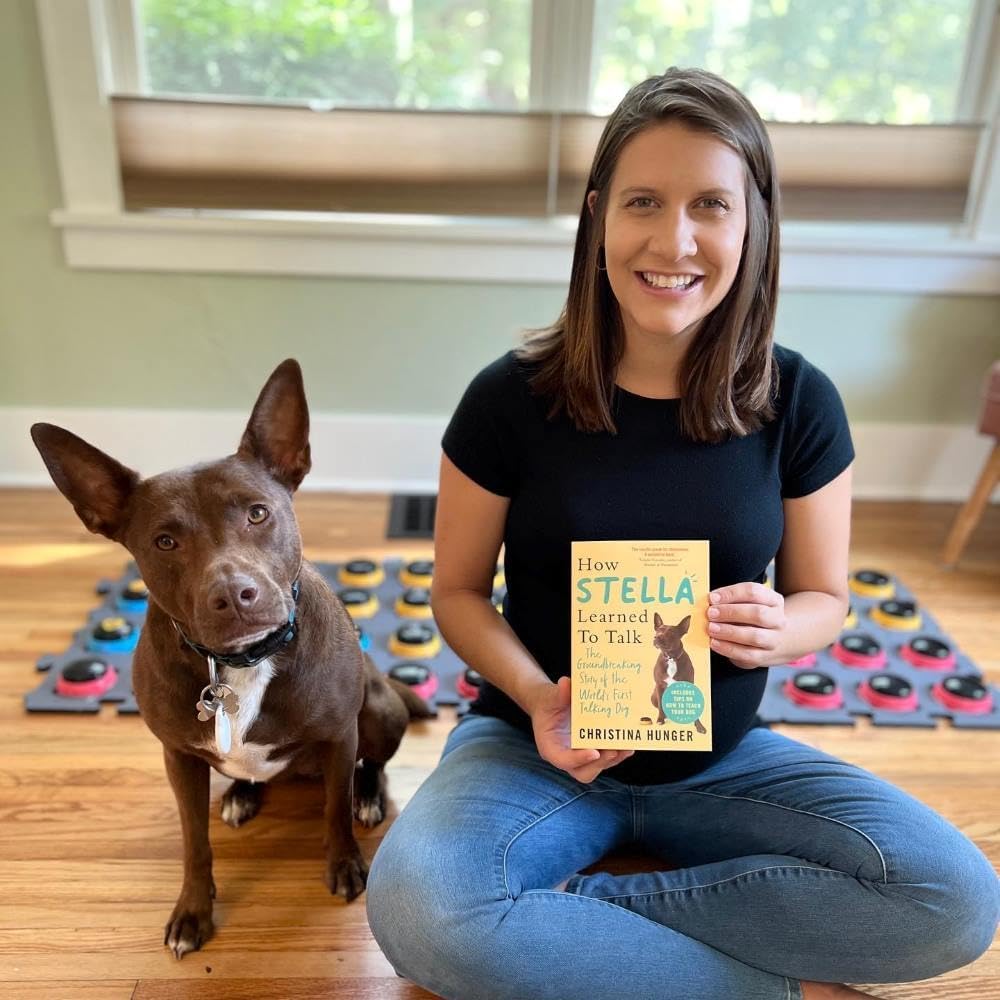 Hunger For Words Talking Pet Starter Set