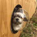 Dog Fence Window Clear View Dome Pet Peek Window