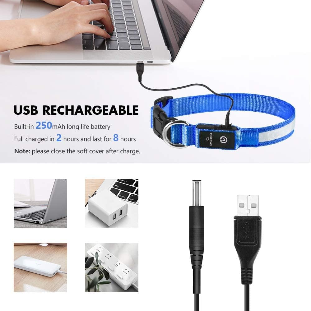 Light Up DogCollars-Rechargeable LED Dog Collar-Waterproof Night Walking Glowing Dog Collar for Small Medium Large Dogs
