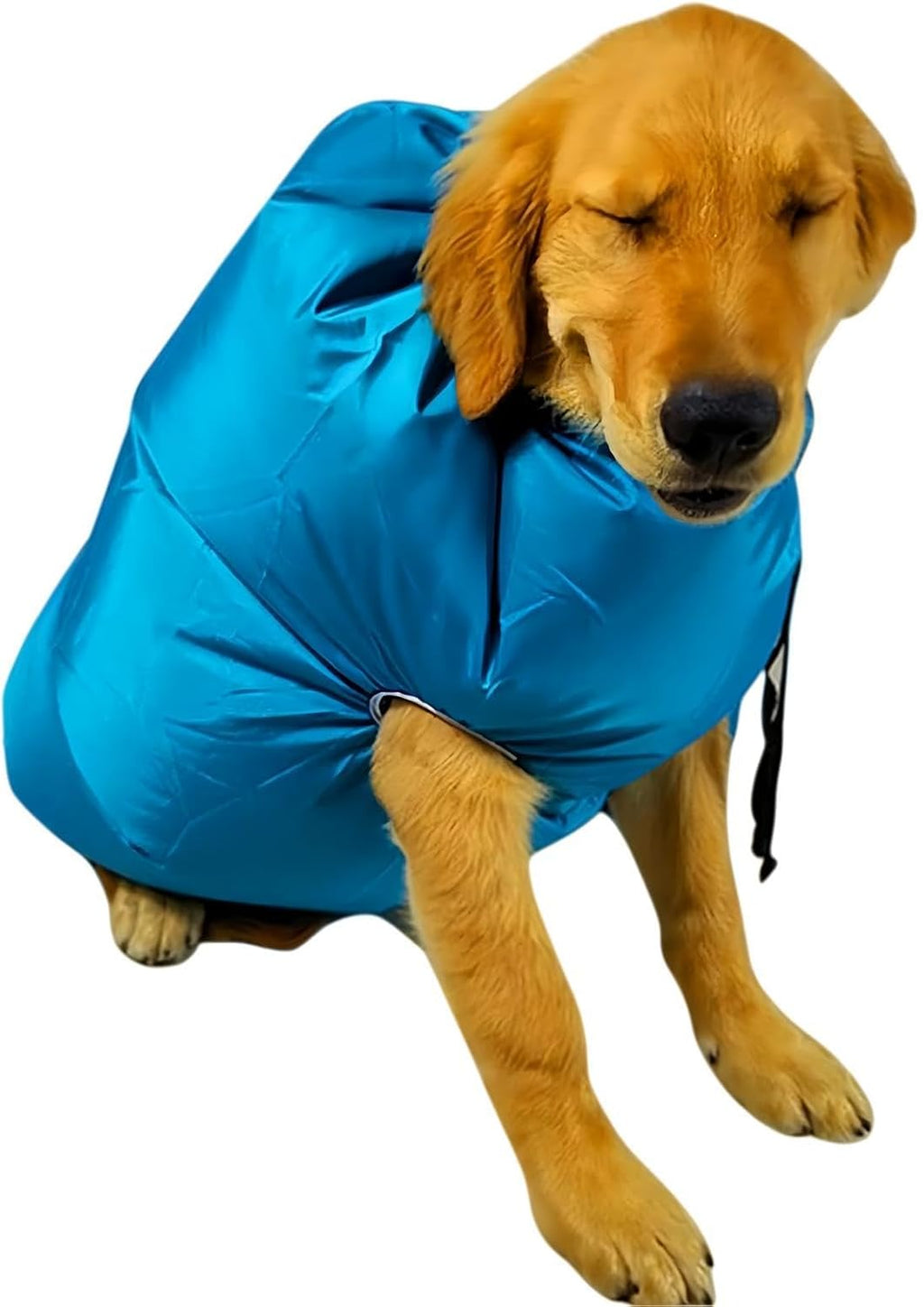 Dog Quick Drying Bag | Pet Air Circulation Blower Sack