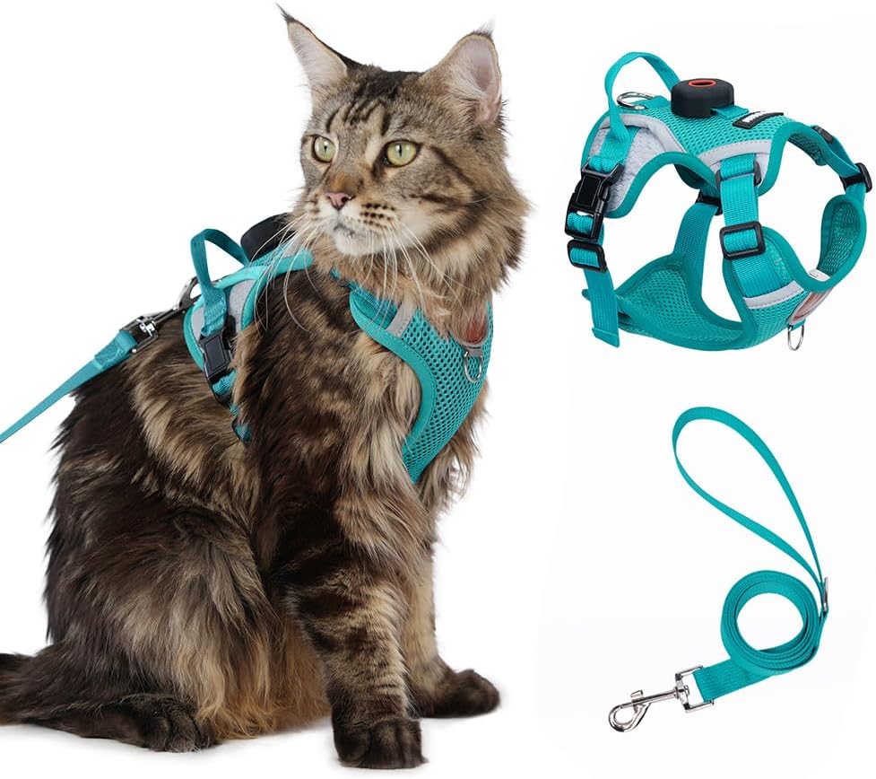 Cat Harness and Leash Set with AirTag Holder: Upgraded Escape Proof Vest with Lead for Small Dog Puppy Large Cat Walking