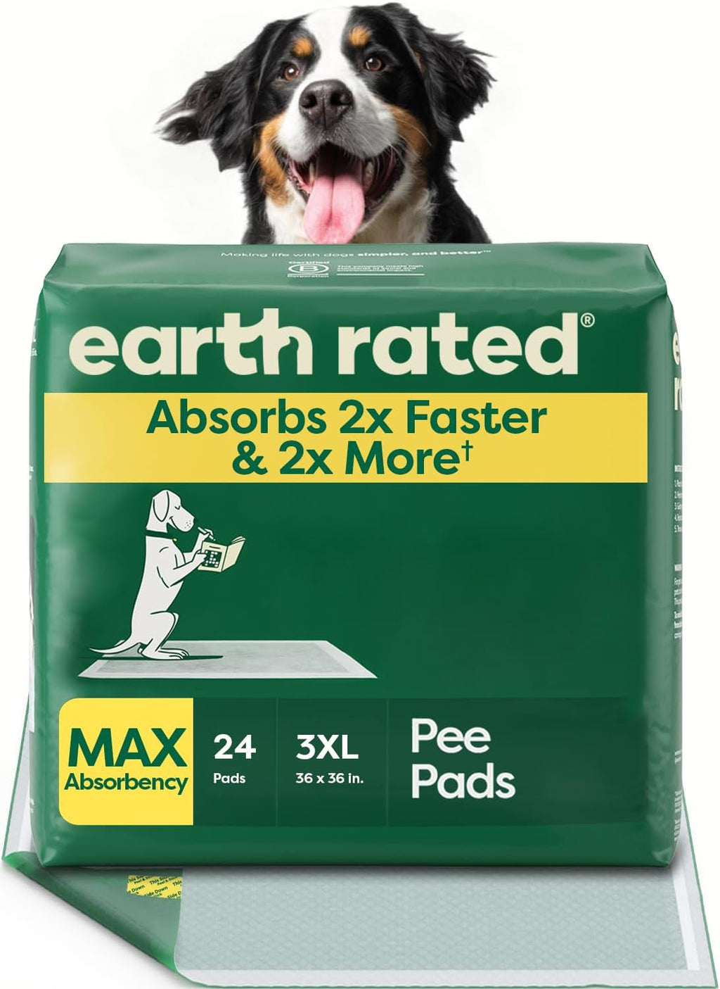 Regular (L) Dog & Puppy Pee Pads, Discreet Top, Max Absorbency, 40CT