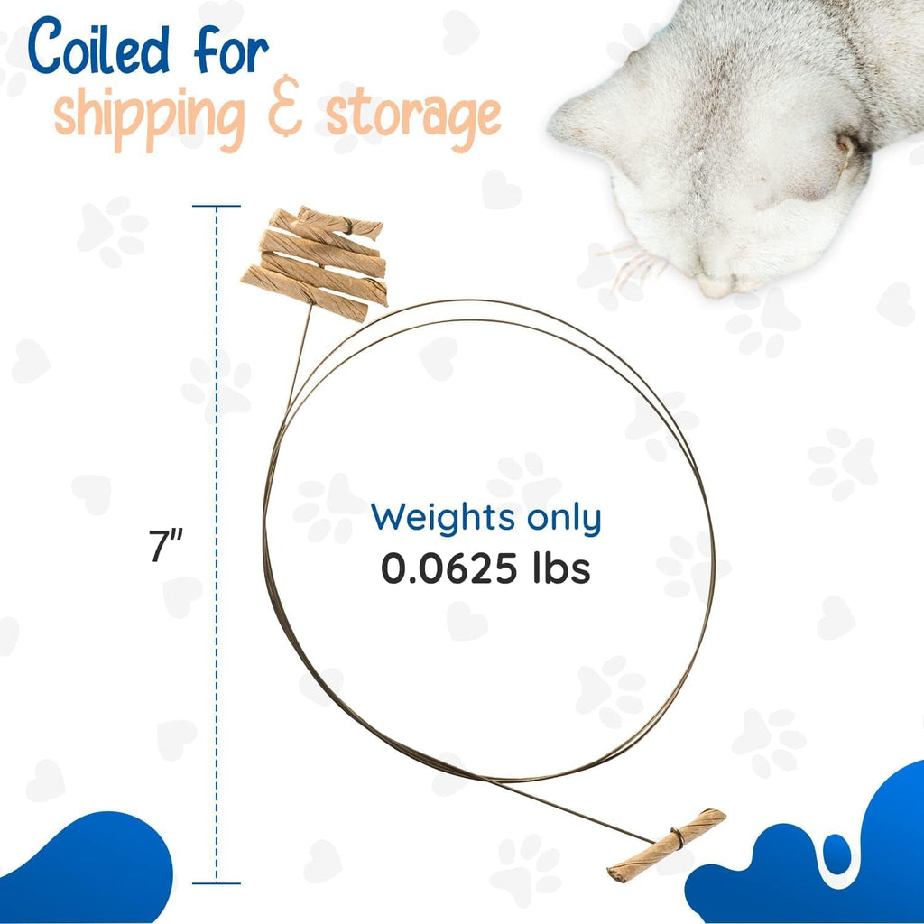 Cat Dancer Products 101 Interactive Cat Toy, Brown (Black, 2 Pack)