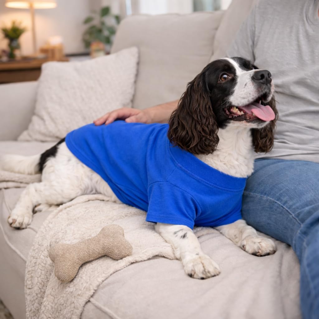Lovelonglong Pet Clothing Dog Costumes Basic Blank T-Shirt Tee Shirts for Large Dogs Blue XXXXL