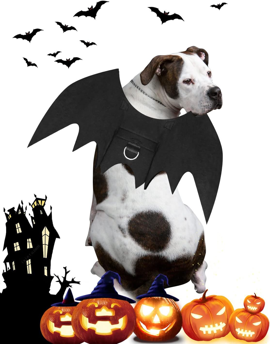 Halloween Dog Bat Wings Costume, Pet Halloween Cosplay Apparel, Adjustable Fit for Large Dogs (L)