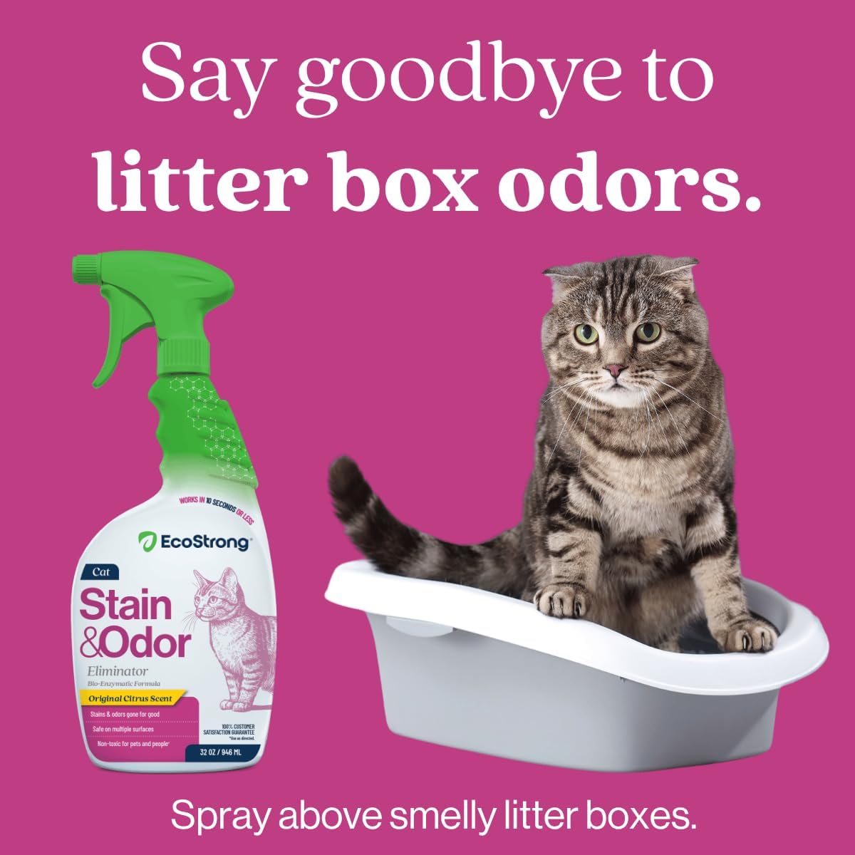 Eco Strong Cat Stain And Odor Remover | Enzyme Urine Odor Neutralizer - Stain Remover for Carpet, Litter Boxes, Bedding,
