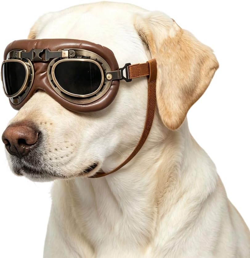 Retro Dog Aviator Sunglasses, Pet Goggles for Medium Large Dogs
