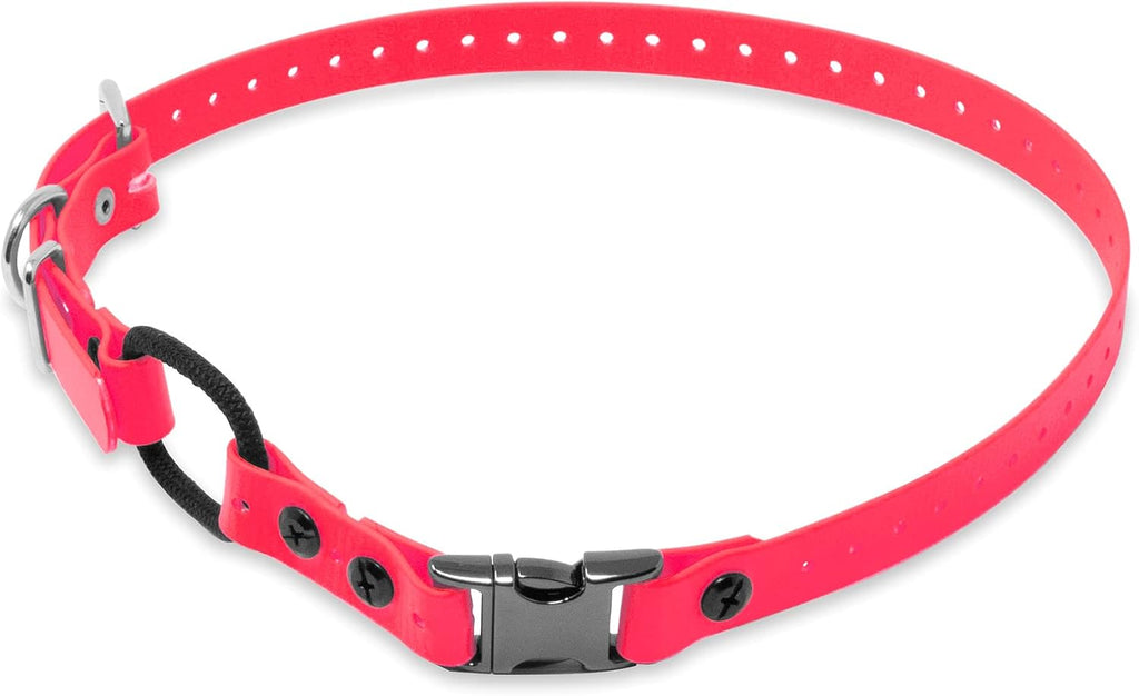 E-Collar Educator 3/4" Quick Snap Bungee Collar Strap, Black