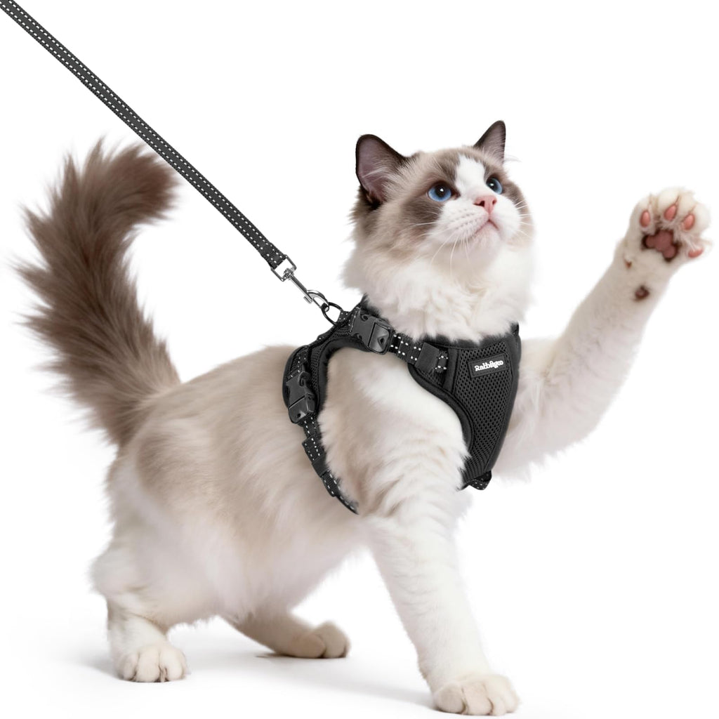 rabbitgoo Cat Harness and Leash, Easy-on with Neck Buckle, Black