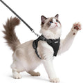 rabbitgoo Cat Harness and Leash, Easy-on with Neck Buckle, Black