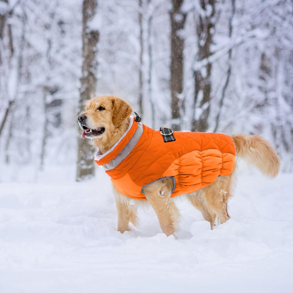 Dog Coat Warm Dog Winter Coat Waterproof Dogs Jacket with Harness